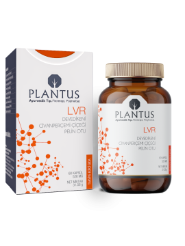 Plantus LVR...