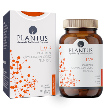 Plantus LVR